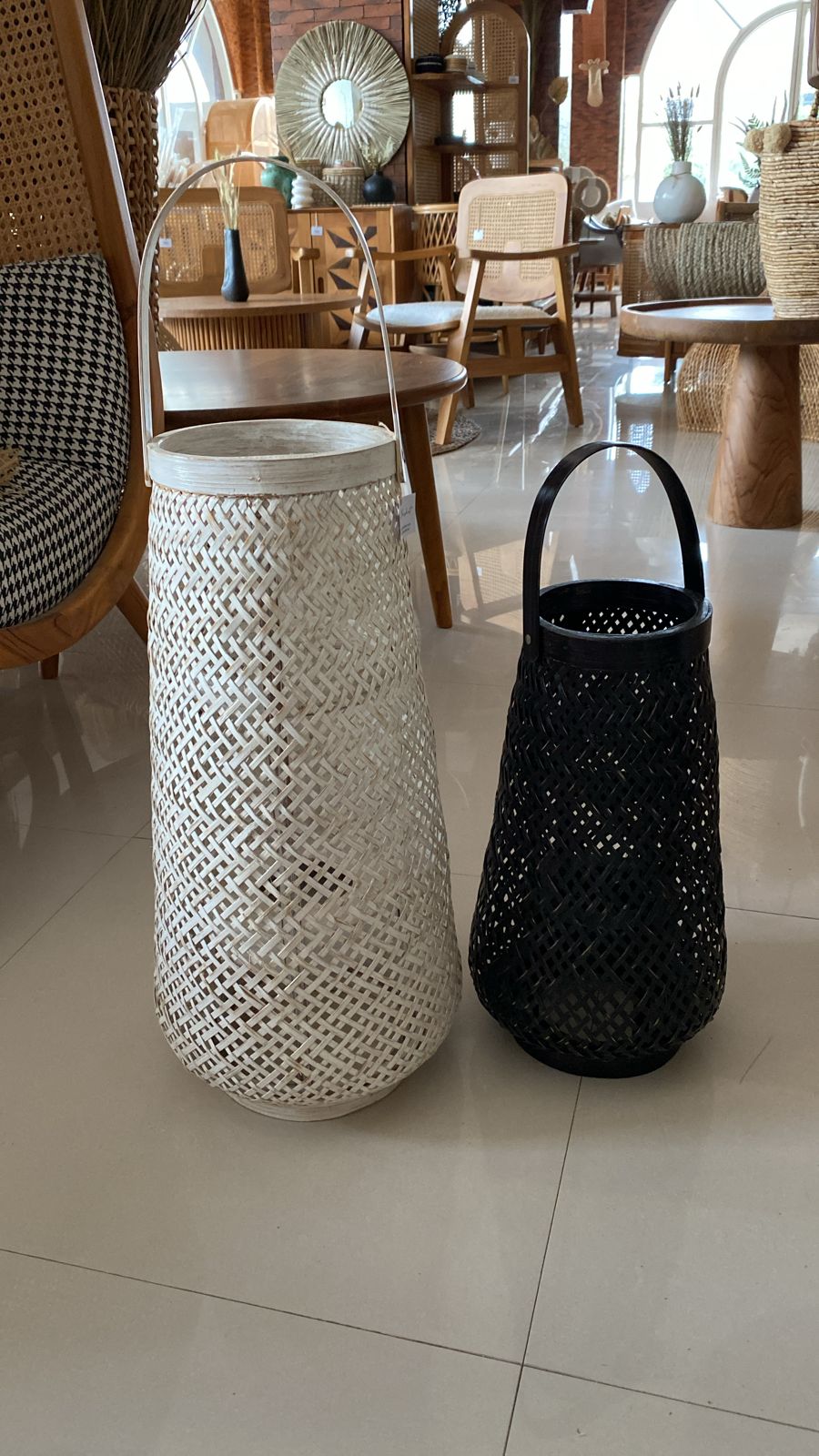 Lantern Bamboo SYD